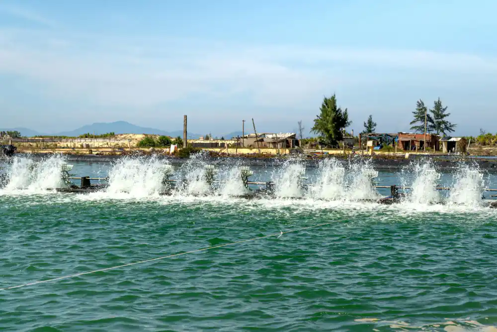 Paddlewheel aerator churning water