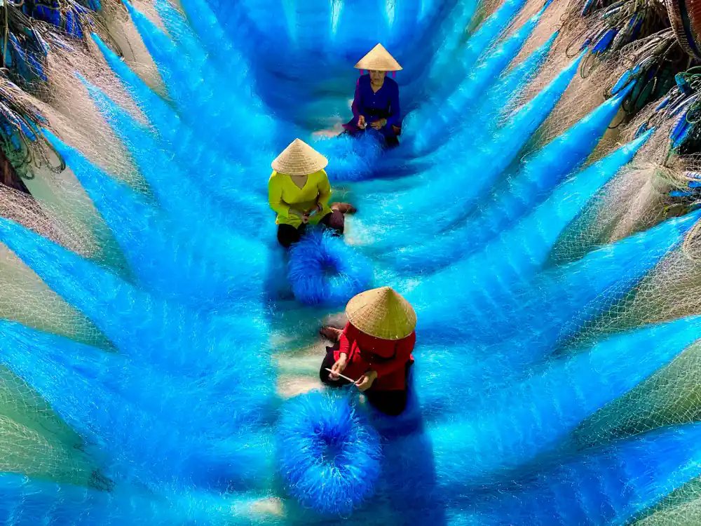 Net full of fingerlings