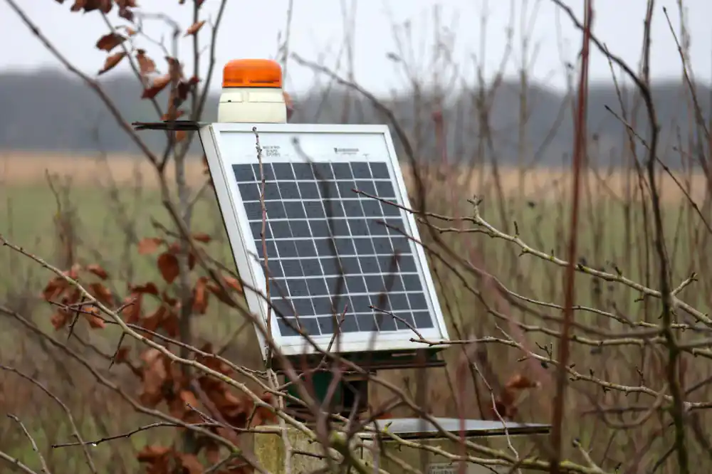 Solar powered automatic fish feeder