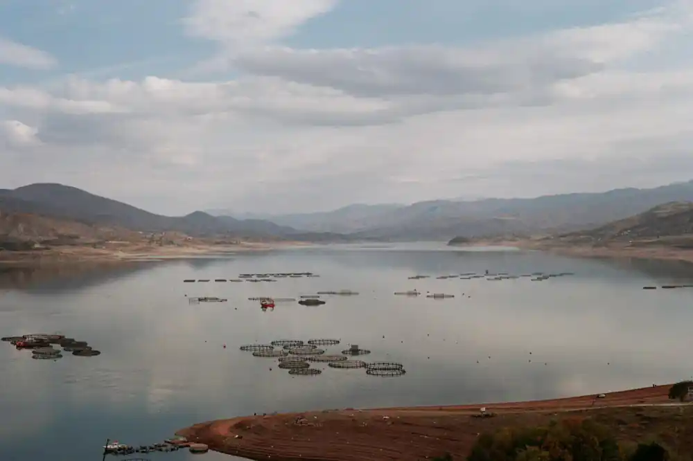 Large scale commercial fish farm overview