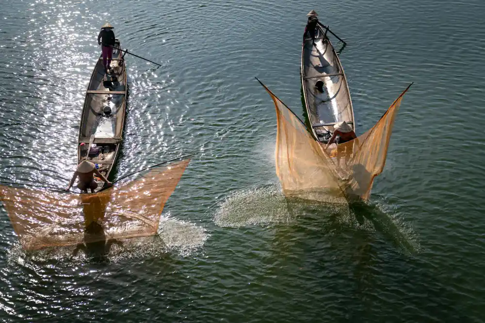 Seine netting in action