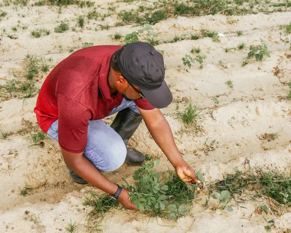 Farmer inspecting water quality