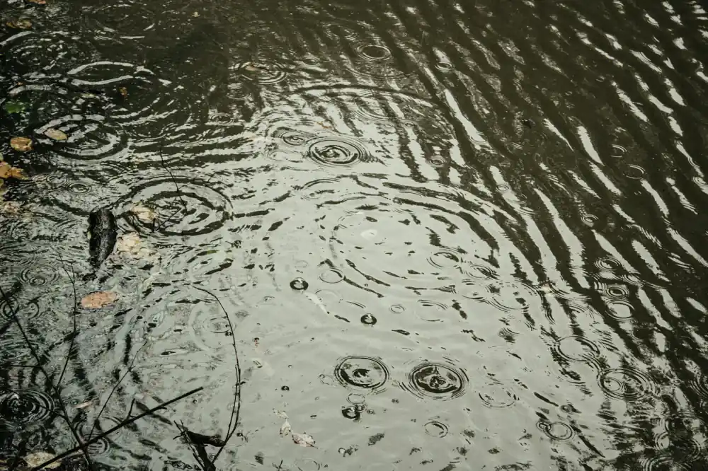 Analyzing water hydrology at a pond