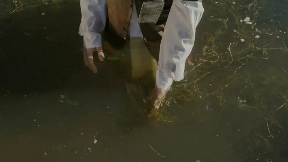 Testing water quality